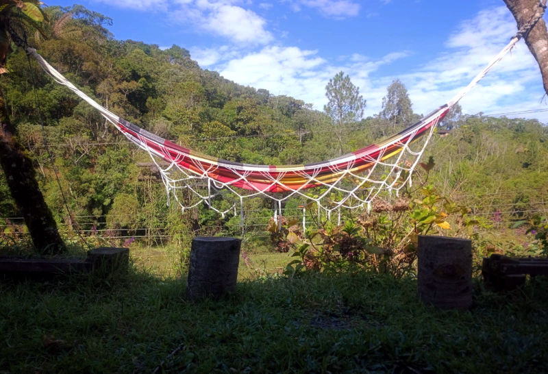 Porque Tecemos Redes? Mapeando o Território Comum da Antropologia Feminista das Ciencias e Tecnologias Latinoamericana